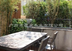 芬兰木ACQ防腐木（花园景观）